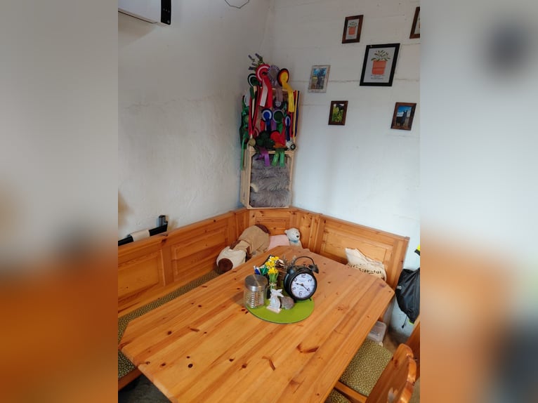 Establo privado abierto