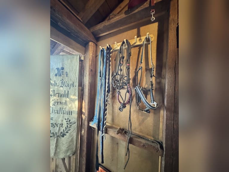 Günstiger, traumhafter Einstellplatz 