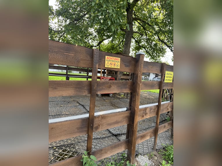 Günstiger, traumhafter Einstellplatz 