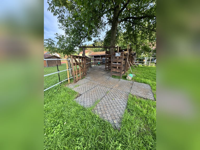 Günstiger, traumhafter Einstellplatz 