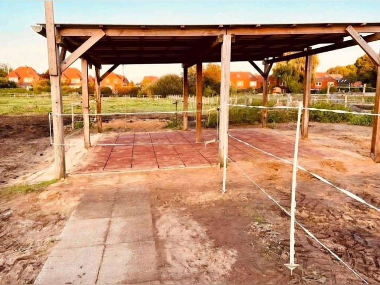 Lugar de estabulación en establo abierto disponible. Espacio para caballos en establo abierto, adecu