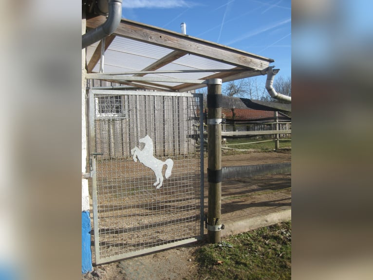 Offenstall f. Teil-/Selbstversorger f. 2 - 4 Pferde