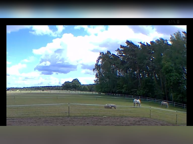 Offenstall Heulage Weide Kamera Engensen 