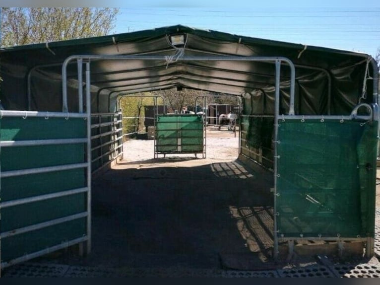 Offenstallplatz Offenstall mit Weiden Selbstversorger Wallach