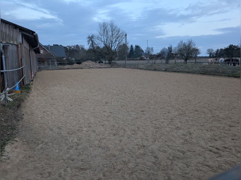 Pensión a campo abierto en Hollenstedt