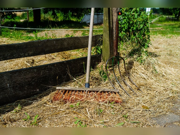 Pensión a campo abierto en Hollenstedt