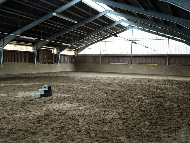 Pensión a campo abierto en Hollenstedt