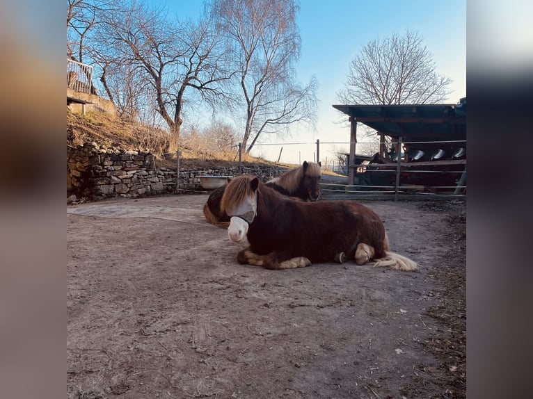 Pensión en paddock para senderismo