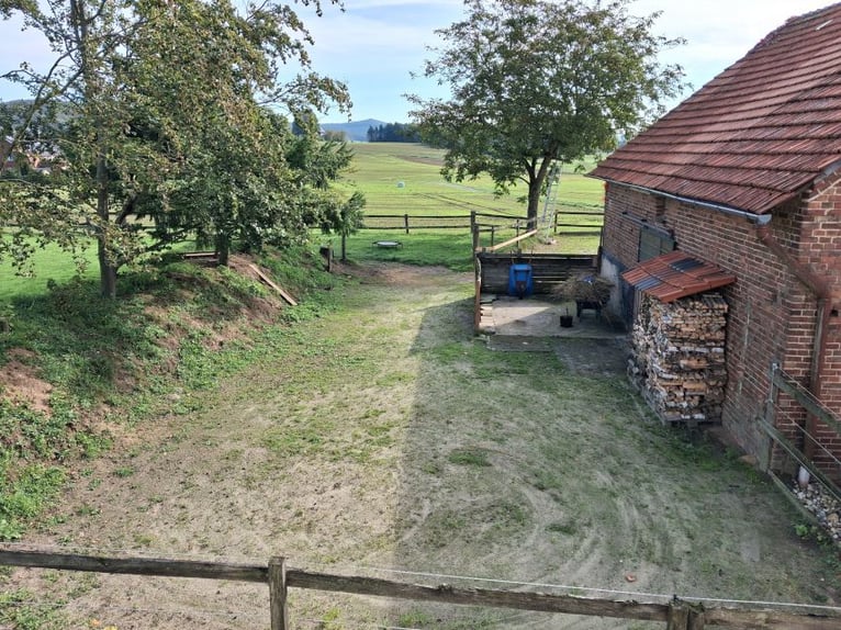 Pensión para caballos en una antigua granja en desuso, establo de mampostería sólida con praderas, T