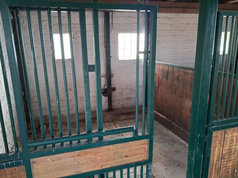 Pensión para caballos en una antigua granja en desuso, establo de mampostería sólida con praderas, T