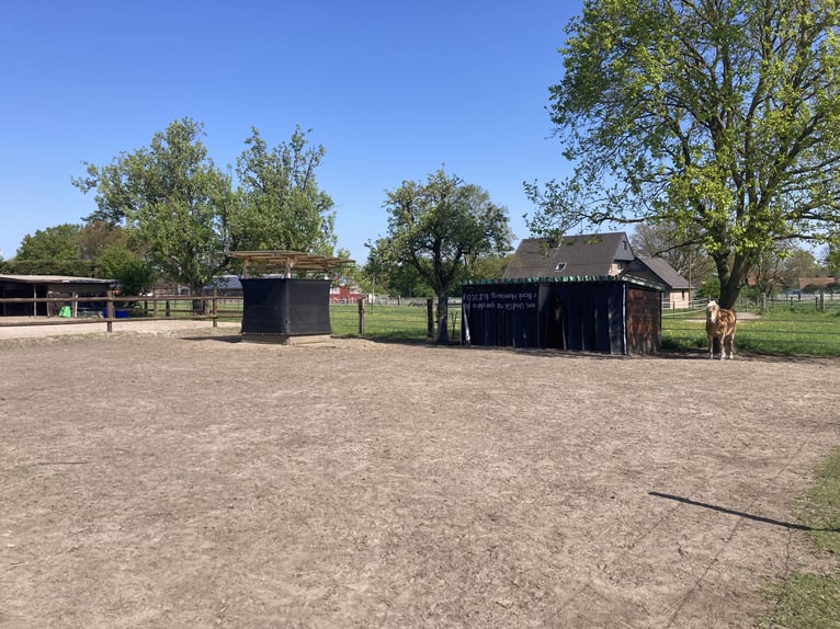 Plaza de estabulación libre disponible en el paraíso ecuestre en 46282