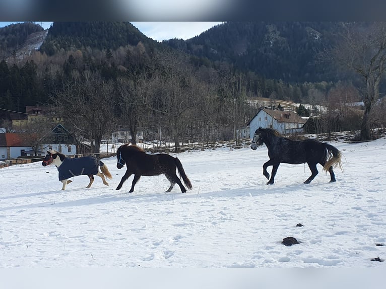 Puesto de aposentamiento para yeguas en Semmering