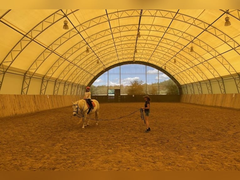 Puesto de establo