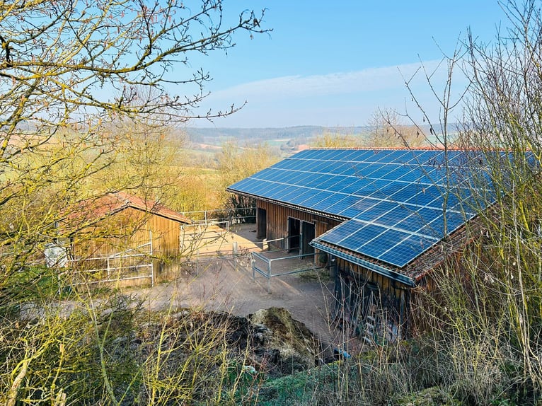 Puesto de paddock abierto