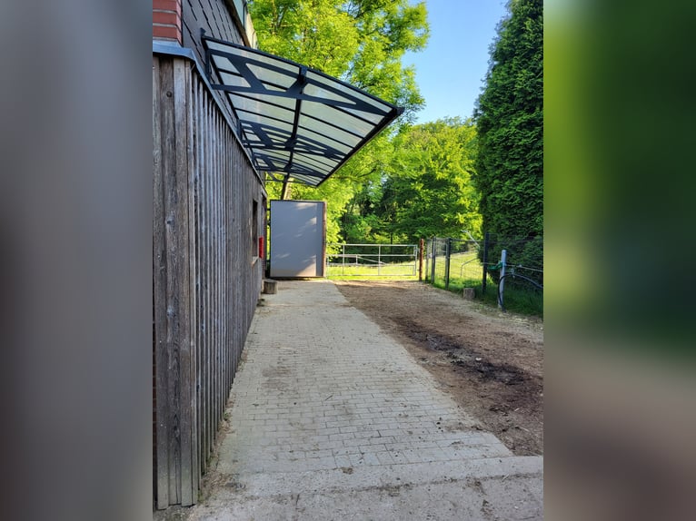 Puesto en paddock en Essen Schuir / Kettwig