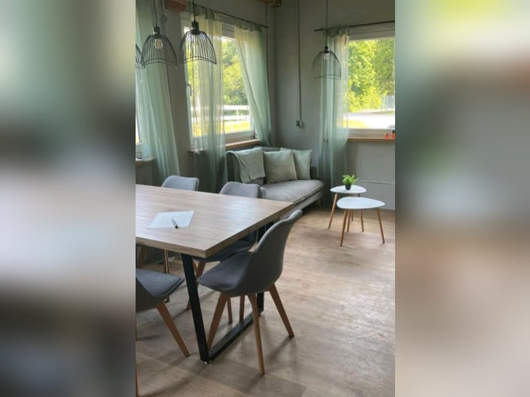 Puesto en paddock en Tuttlingen Möhringen, adecuado para caballos de fácil mantenimiento