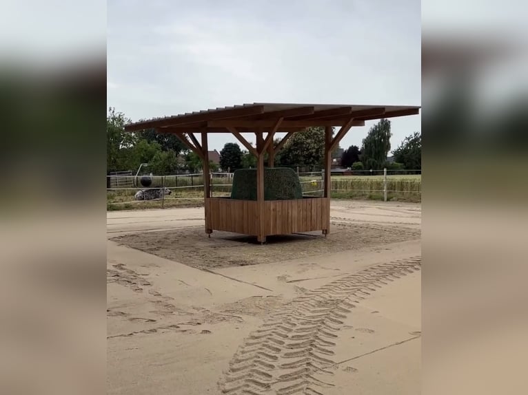 Puesto en paddock libre disponible a finales de mayo