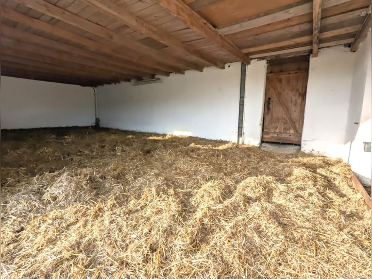 Puesto en paddock, lugar en establo, paddock para caballo de ocio