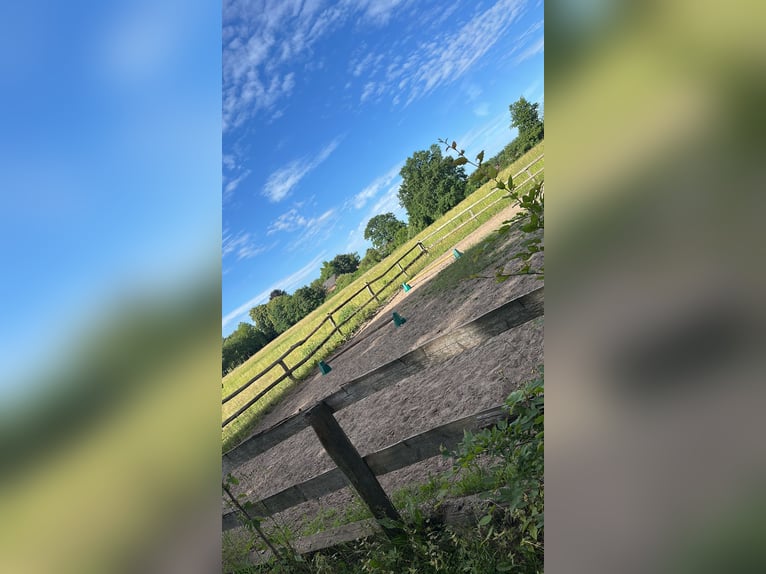 Puesto en paddock para caballero