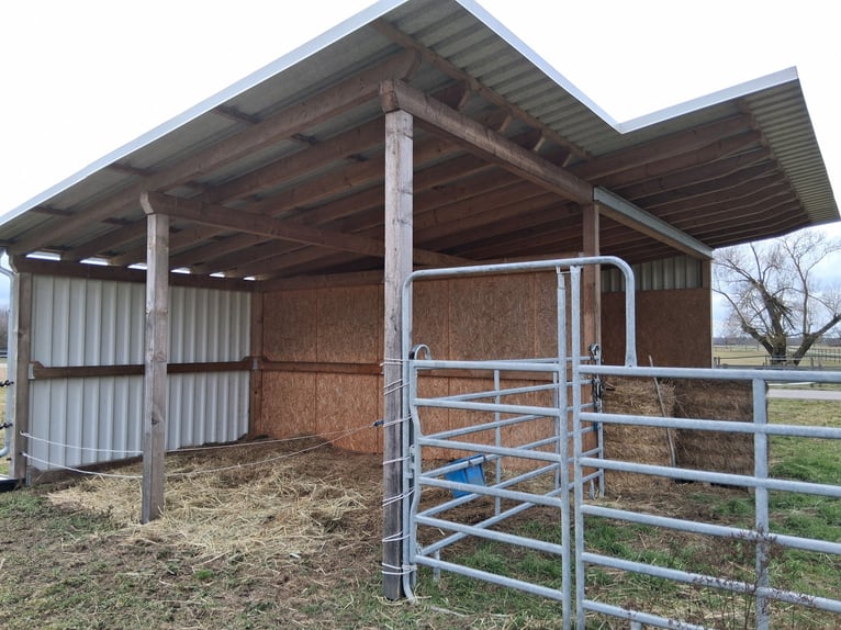 Terreno con establo para 2 caballos en la zona de pastizales para animales de Spöck-Stutensee en ven