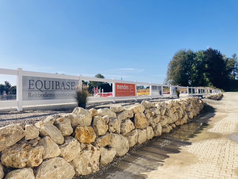 ¡Actualmente, en nuestras hermosas instalaciones ecuestres, disponemos de un box de paddock con pens