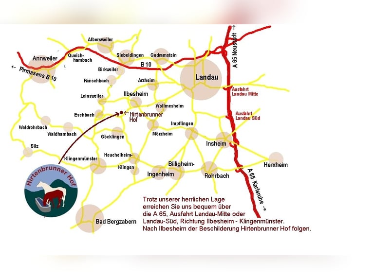 Aire fresco, ubicación tranquila, pista cubierta abierta y excelentes rutas para pasear a caballo. ¡