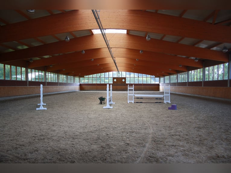 Box de paddock disponible en Rulle, cerca de Osnabrück