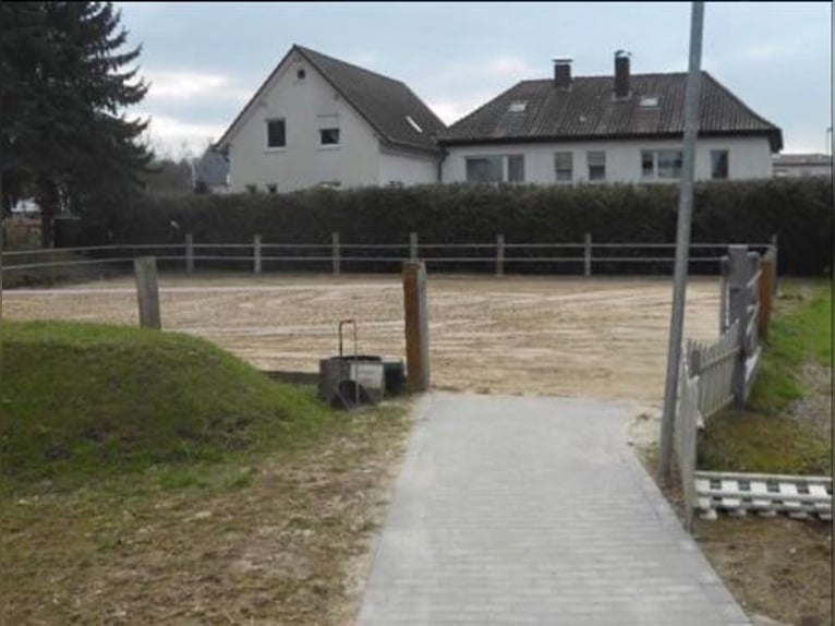 Box exterior / paddock box available – stallion keeping possible