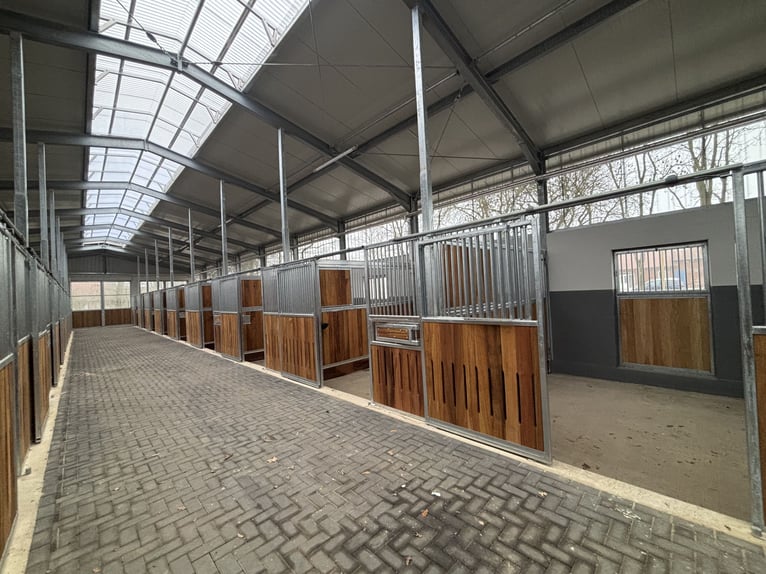 Boxes de paddock disponibles