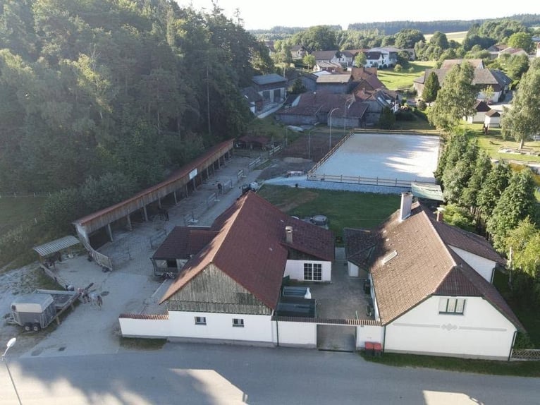 🐴 Espacios de estabulación disponibles en la MCC Ranch en la región de Waldviertel