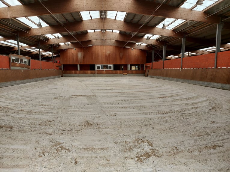 Establo de paddock moderno, luminoso y ventilado, en un complejo de establos de ensueño