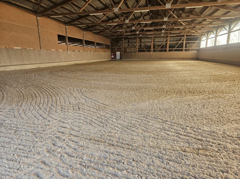 Establo disponible en 88518.