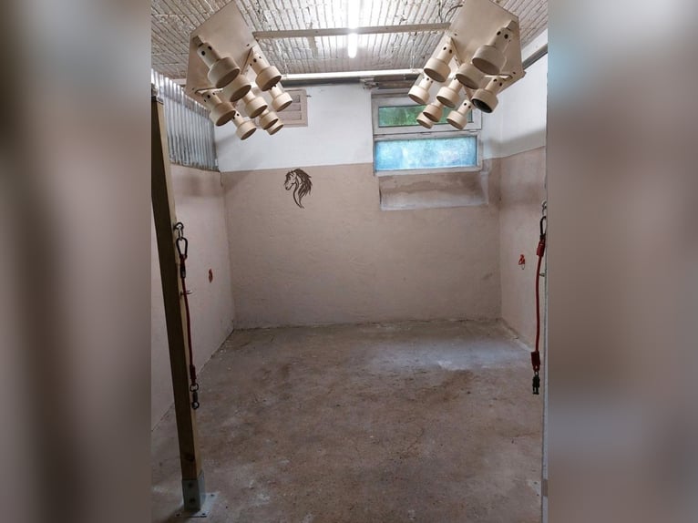 Establo privado con 3 boxes libres, ideal para caballos, ponis, caballos en jubilación, cabras y cie
