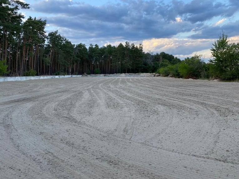 Exklusive Reitanlage, 1h südlich von Berlin, Pensionsstall & Reitstall, Aufzucht