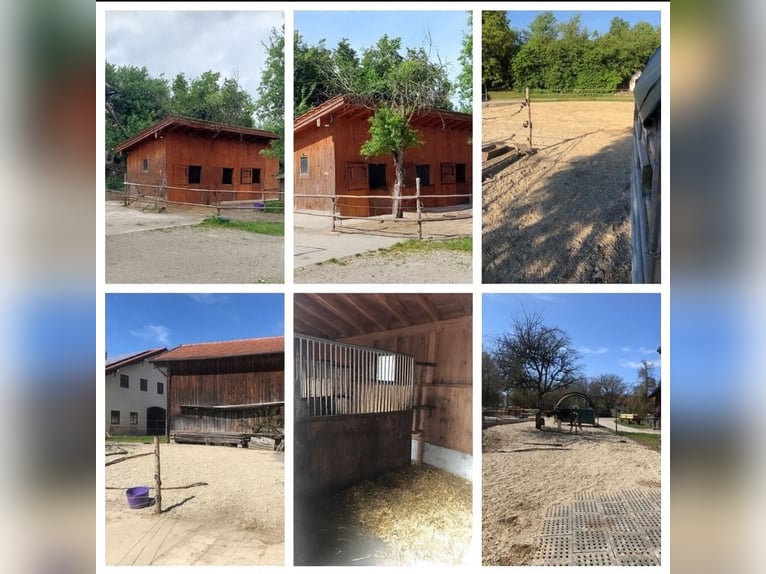 Freie Paddockbox mit Rundum-Service zu vergeben