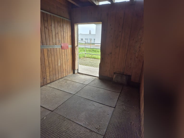 Paddockbo  Vollpension Selbstversorger 