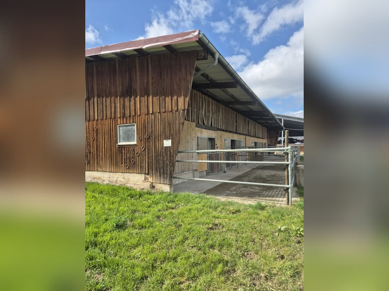 Paddockbo  Vollpension Selbstversorger 