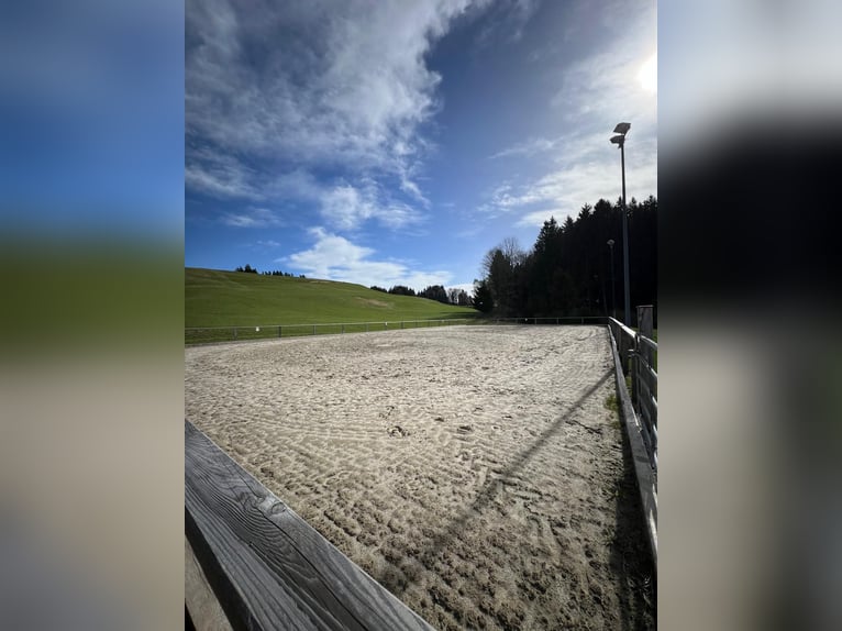 Paddockbox in wunderschöner Lage