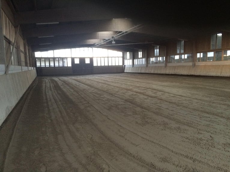 Se alquilan amplios boxes interiores y paddocks.
