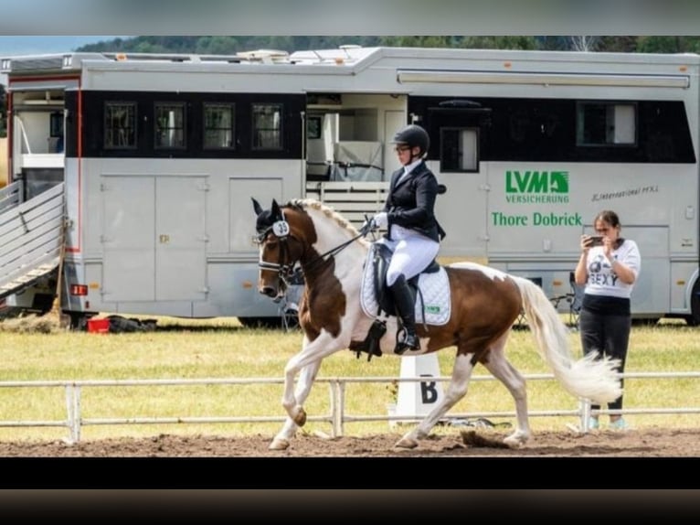 Capacidades disponibles para caballos en entrenamiento.