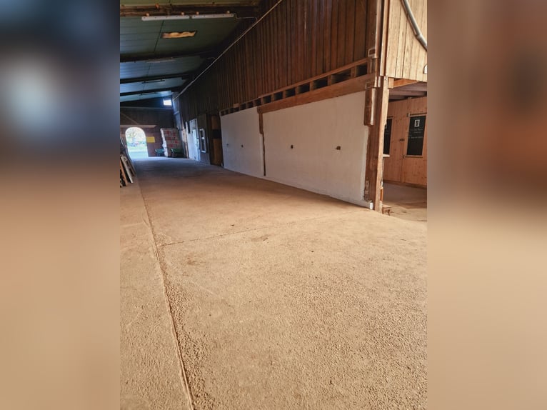 Espacio disponible en establo activo / establo abierto