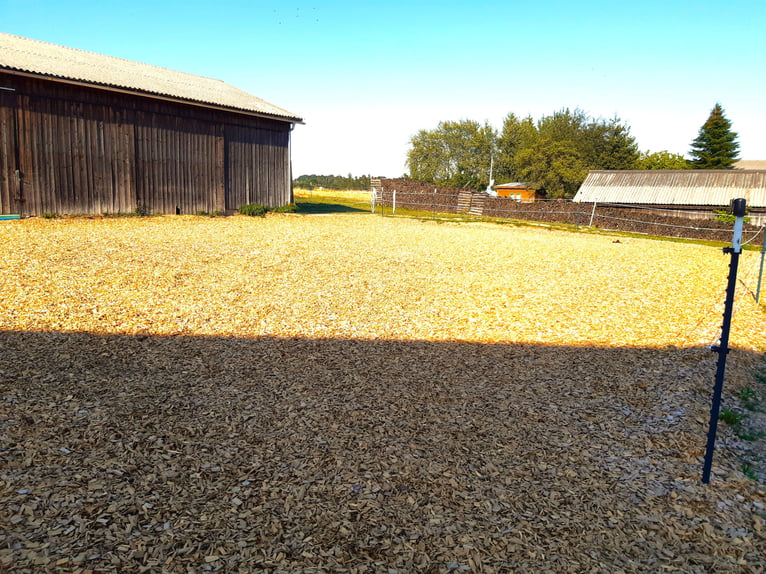 Lugar de estabulación en mi finca privada de forma cuadrada en Waldviertel