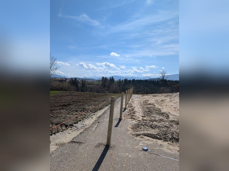 Nueva instalación de estabulación activa en la finca ecuestre Ammerblick!!