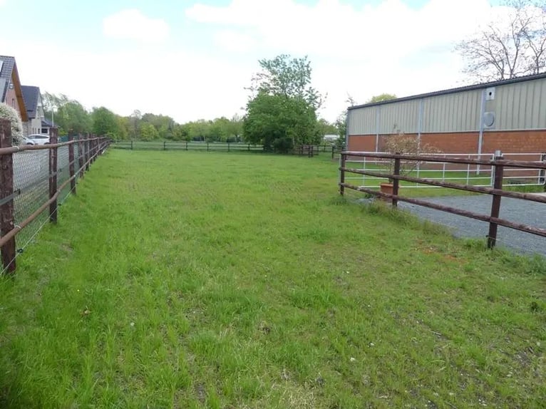 Pferdestallanlage mit 4 Boxen