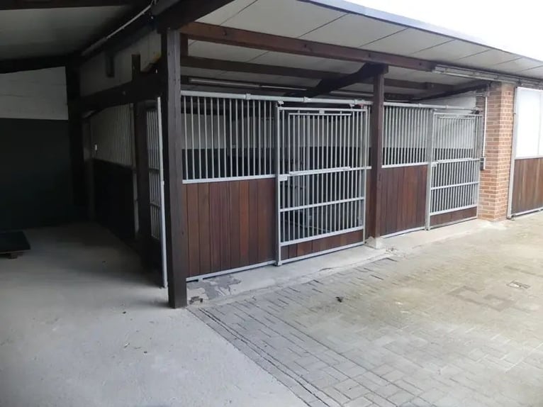 Pferdestallanlage mit 4 Boxen