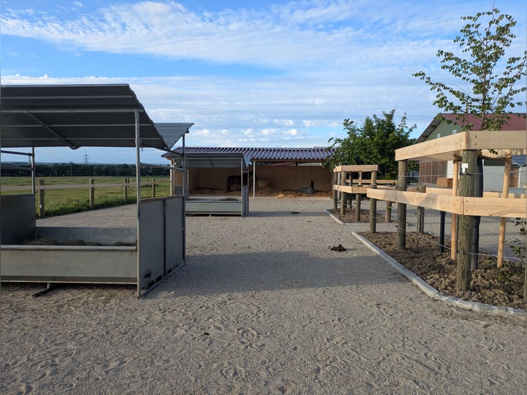 Pista activa con 2 pistas cubiertas y boxes con paddock