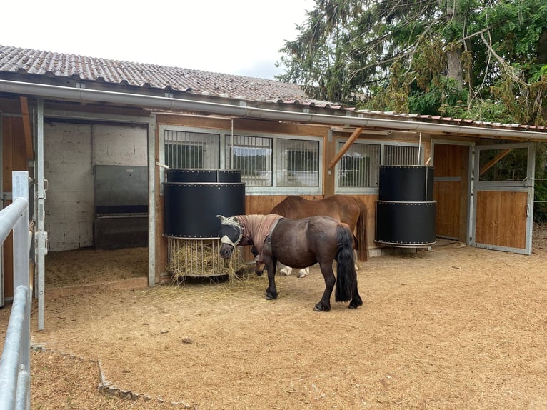 Comedero automatizado para caballos, modelo Powerraufe, con capacidad de hasta 30 kg de heno, opción