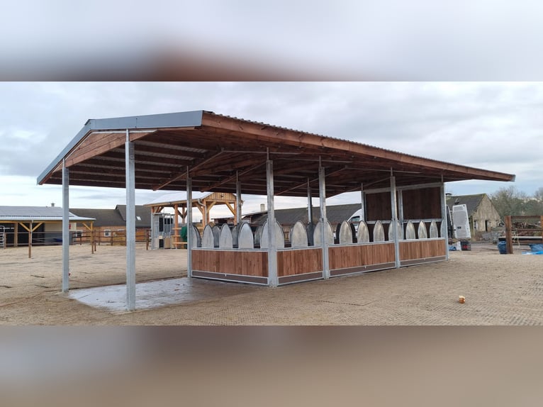 Comederos de pasto y comederos para heno para caballos, ideales para establos y fincas ecuestres