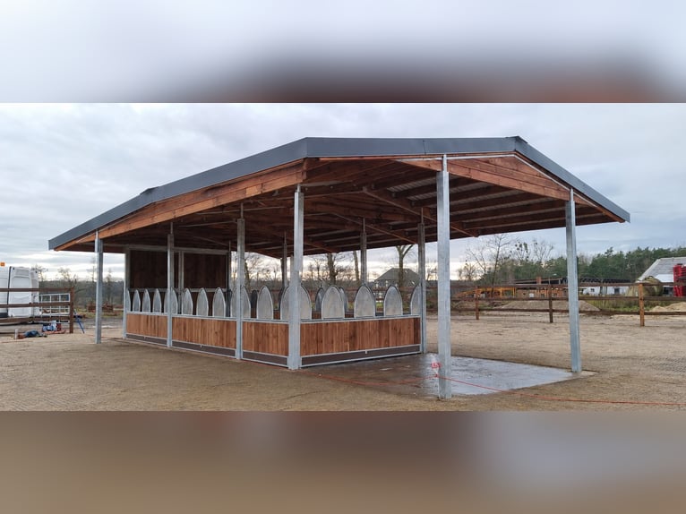 Comederos y comederos de forraje para caballos - Comederos y rejillas de alimentación | TOP-ACTIVE p