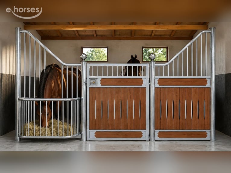 Frentes de establo y sistemas de boxes | Comprar boxes para caballos - boxes interiores para caballo